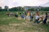 Смотреть...