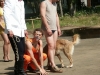 Смотреть...