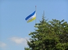 Смотреть...