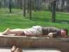Смотреть...