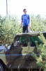 Смотреть...