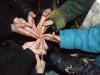 Смотреть...