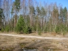 Смотреть...