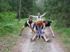 Смотреть...