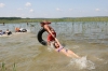 Смотреть...