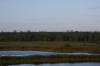 Смотреть...