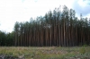 Смотреть...